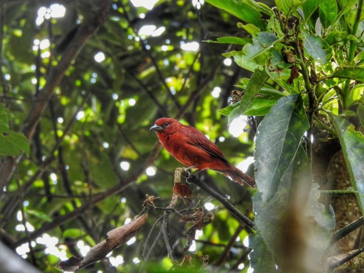 Ecofinca Саленто Экстерьер фото